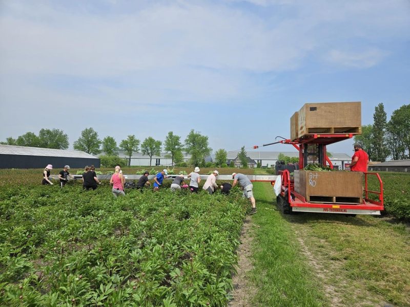 imgi_3_Oogstmachine-zeflrijdend-03-1