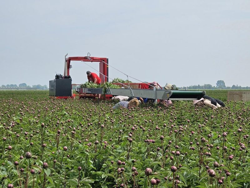 imgi_7_Oogstmachine-zeflrijdend-02-1