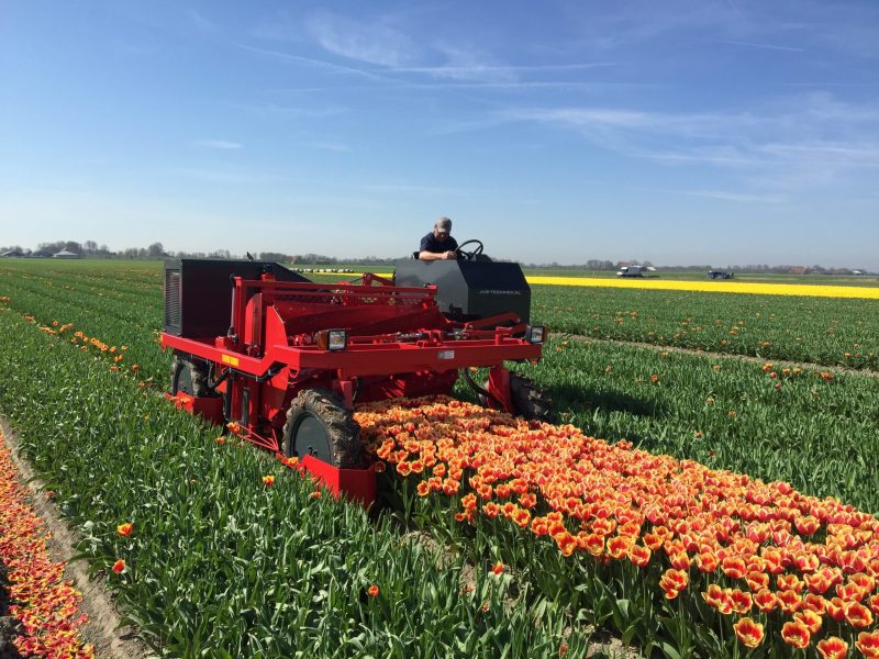 imgi_9_IMG_5452-scaled